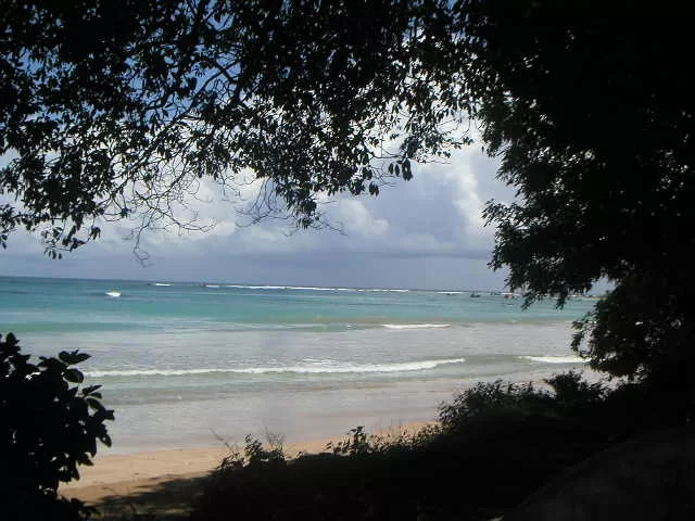 Habaraduwa a jeho 4 zajímavosti 1 Habaraduwa Srí Lanka