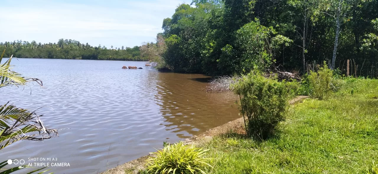 Prodej pozemku 1550 m2 na Srí Lance u jezera poblíž Hikkaduwy na Srí Lance 2 Prodej pozemku 1550 m2 na Srí Lance u jezera poblíž Hikkaduwy na Srí Lance