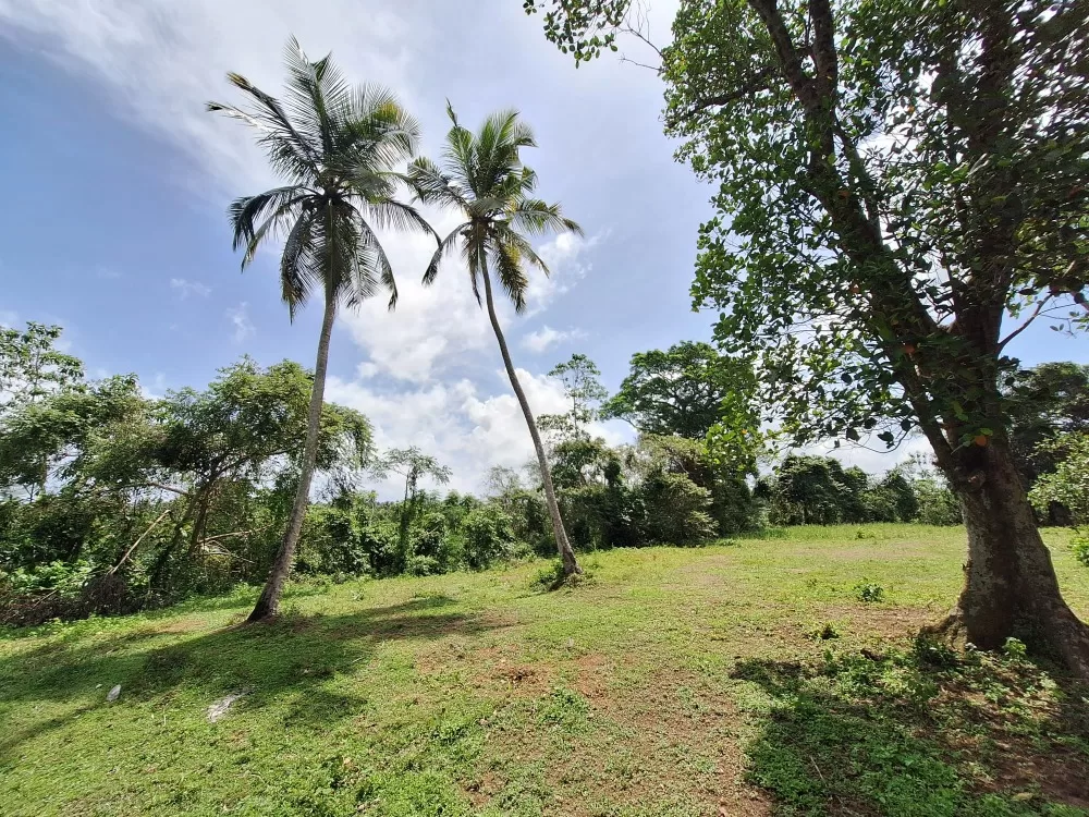 Prodej rozsáhlého pozemku na Srí Lance u jezera, poblíž Hikkaduwy 1 Prodej rozsáhlého pozemku na Srí Lance u jezera, poblíž Hikkaduwy